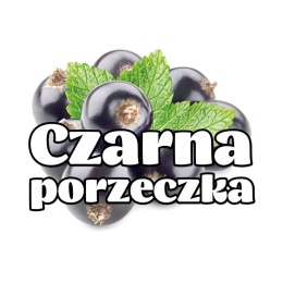 BLACKCURRANT FLAVOUR – Inawera 10ml