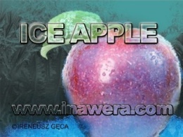 ICE APPLE FLAVOUR – Inawera 10ml