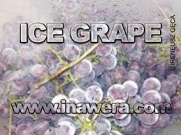 ICE GRAPE FLAVOUR – Inawera 10ml
