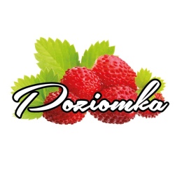 WILD STRAWBERRY CONCENTRATE – Inawera 10ml