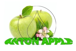 YUMMY CLASSIC ANTON APPLE – Inawera 10ml