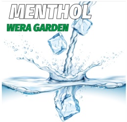 MENTHOL FLAVOUR – Inawera 10ml